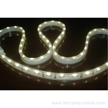 CE&RoHS DC12v 24v 8mm 10mm 12mm SMD335 LED Strip Light